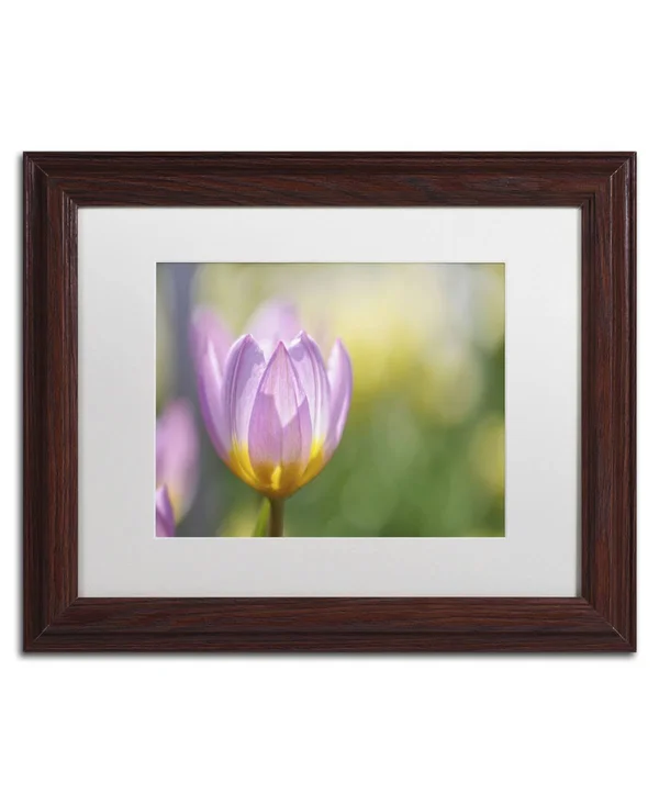 Trademark Fine Art Tulip ?Lilac Wonder& by Cora Niele Framed Photographic Print - Size: 11x22 H x 14x22 W x 0.5x22 D - Frame Colo