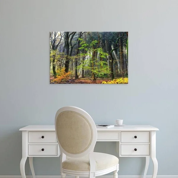 Easy Art Prints Lars Van De Goor's 'Colors of The Forest IV' Premium Canvas Art - 24 x 36 - Brazilian Barnwood Frame