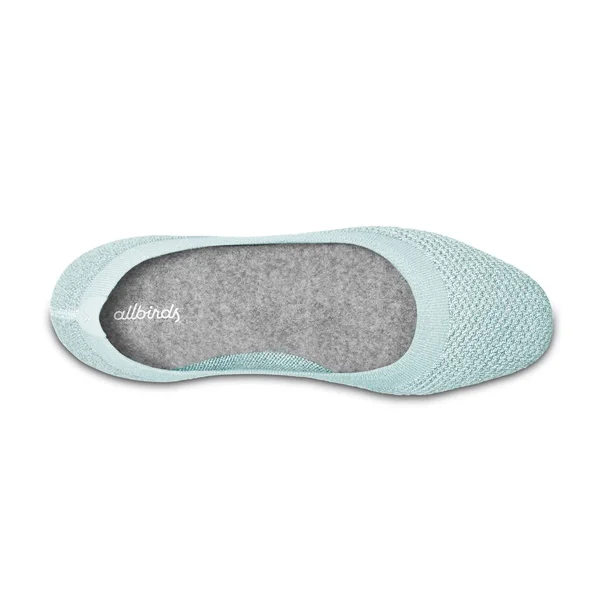 Allbirds Women's Tree Flats - Frost, Size 5