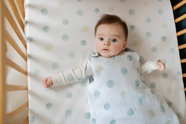 Pehr Designs Crib Sheet - Little Lamb
