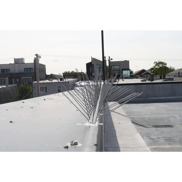Stainless Steel Bird Spikes - 50 Feet - Bird-X - STS-50