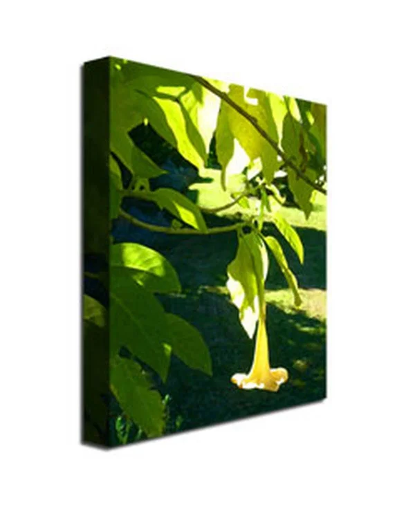 Trademark Global Amy Vangsgard Singe Angel S Trumpet Canvas Art