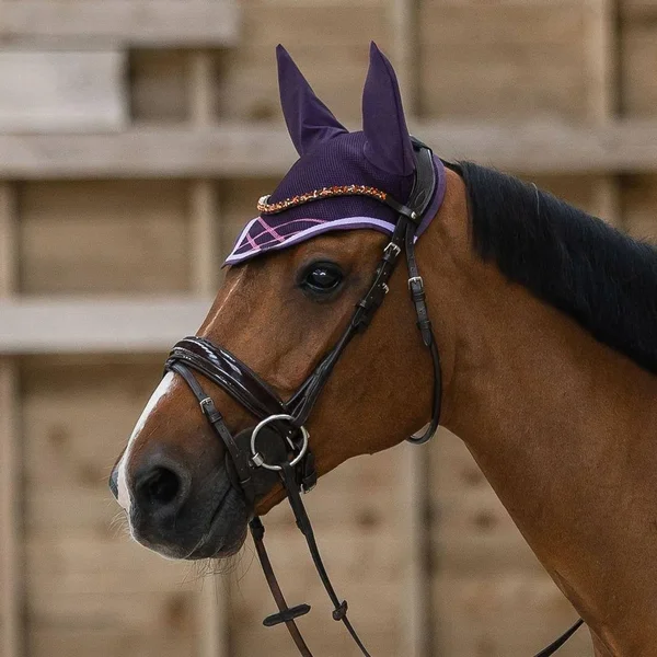 Horze Clermont Bridle Warmblood, Black
