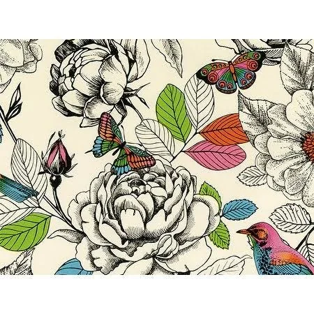 NAS Pack of 1, in Living Color 30x22 x 833& Full Ream Roll Gift Wrap for Party, Kids& Birthday, Wedding & Occasion - in Livi