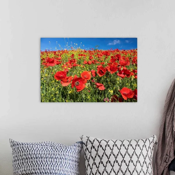 Spain, Andalusia, A Field of Bright and Cheerful Red Poppy Wildflowers, Canvas Wall Art, 24x16, Great Big Canvas