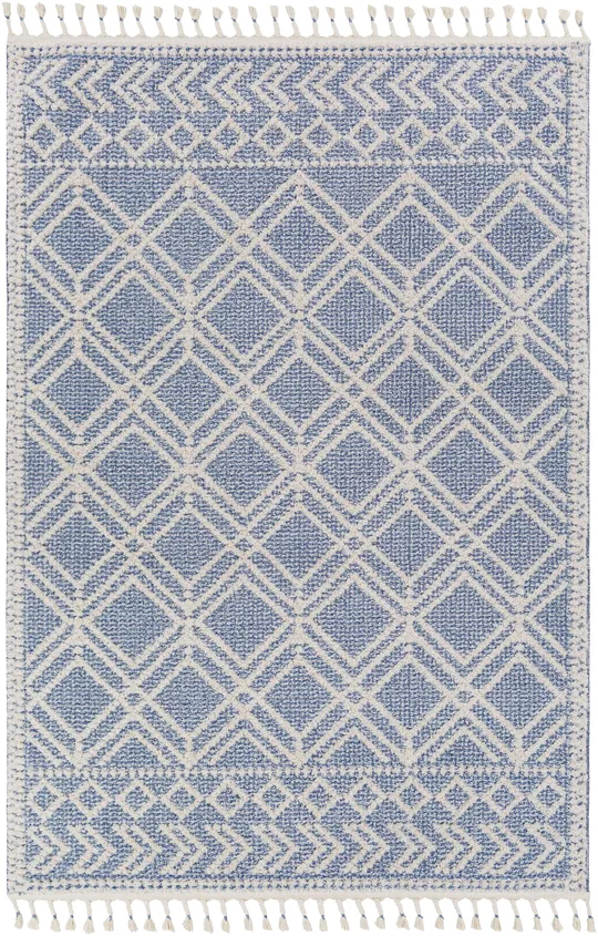 Surya Valencia VLC-2314 Dark Blue Rug - 1&6x22x1&6x22 - Sample