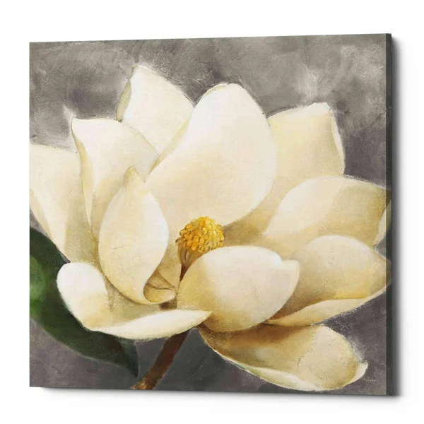 Epic Graffiti &Magnolia Blossom on Gray& by Albena Hristova - Canvas Wall Art, 18x22x18x22