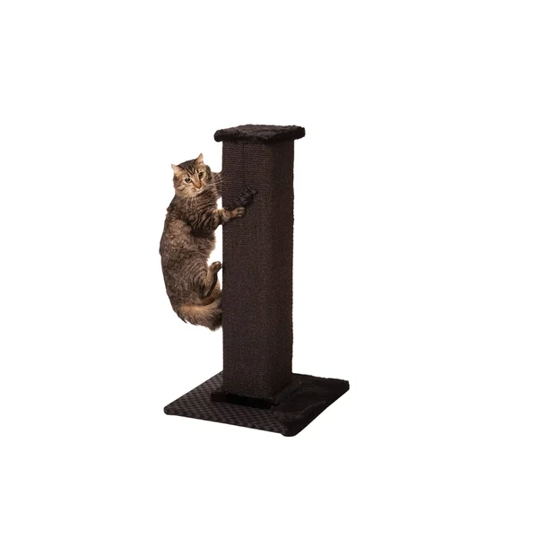 Max & Marlow Sisal Scratch Post Tower - Black
