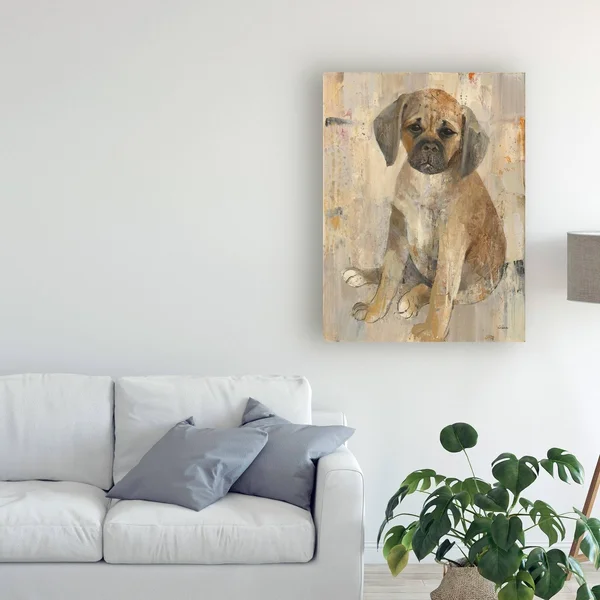 Trademark Fine Art 'Paco' Canvas Art by Albena Hristova, Size: 18 x 24