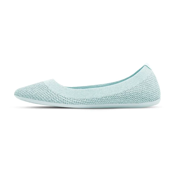 Allbirds Women's Tree Flats - Frost, Size 5
