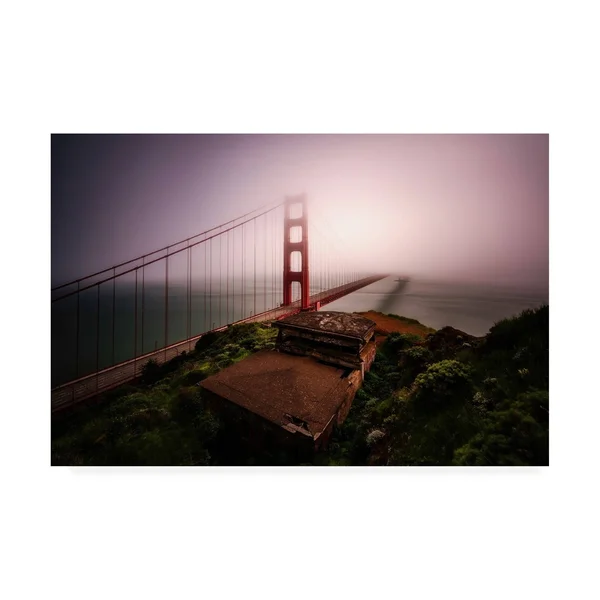 Trademark Art Bruce Gett 'White Out' Canvas Art