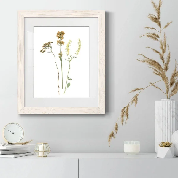 Pressed Botanical III-Premium Framed Print - Ready to Hang - 27.5X37.5 - White