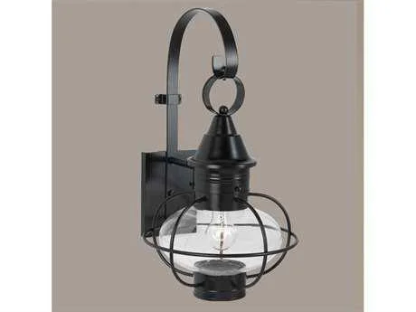 Norwell Vidalia Onion Large Outdoor Wall Light Gun Metal - Clear - 1609-GM-CL