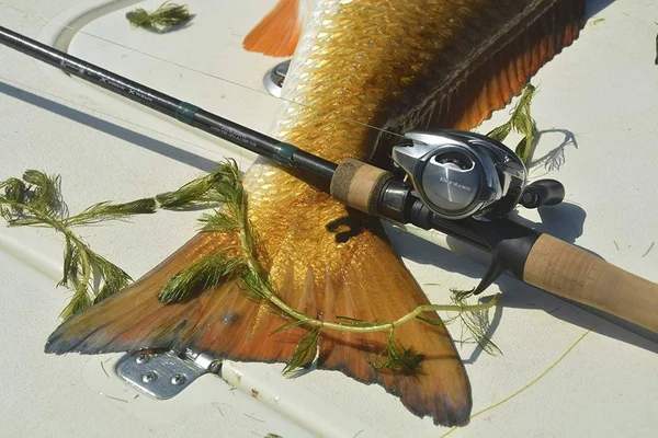 Shimano Bantam MGL Casting Reel