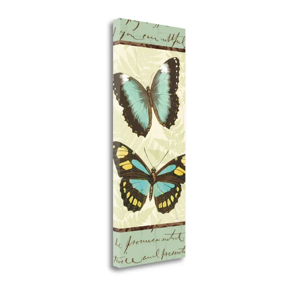 Tangletown Fine Art Butterfly Patchwork II Canvas Wall Art by Pela Studio