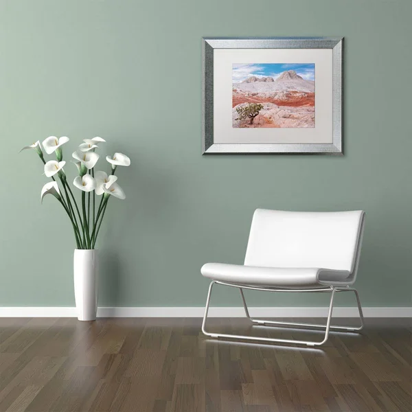 Trademark Fine Art Tree on Brain Rocks by Michael Blanchette Framed Photographic Print - Matte Color: White - Size: 16x22 H x 20x