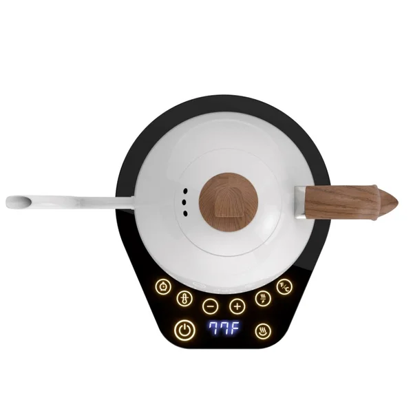 Artisan Electric Gooseneck Kettle All Black
