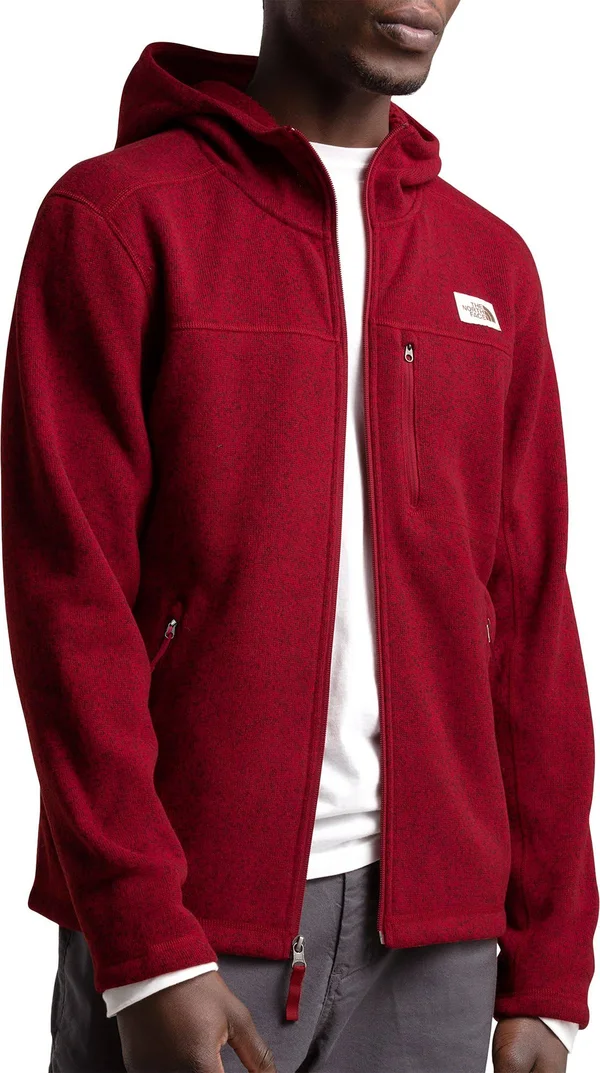 ️nwt ️ The North Face Gordon Lyons Fleece Lined Hooded Jacket Sz L