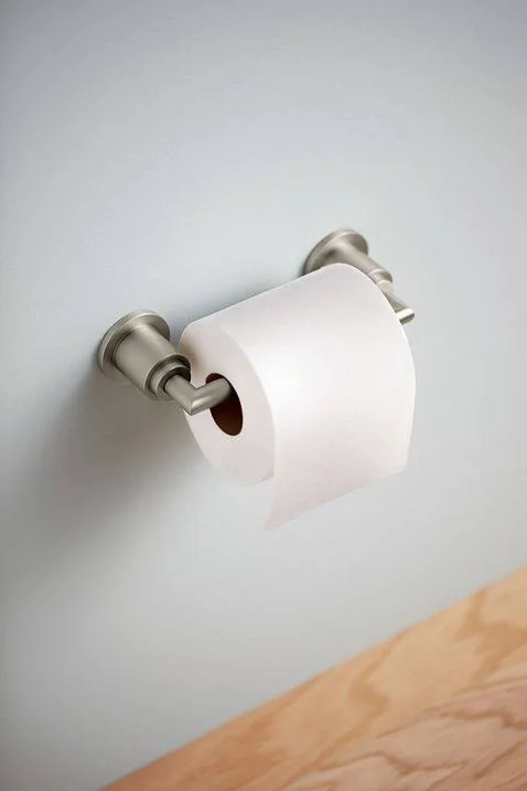 Moen YB0808BN ARRIS Pivoting Toilet Paper Holder, Brushed Nickel