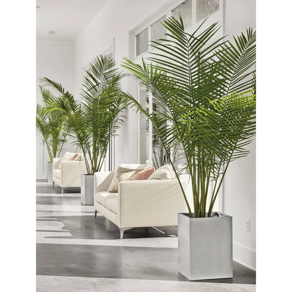 Room & Board - Modern Terrace Square Planter 16d 16W 22H in Saffron Yellow
