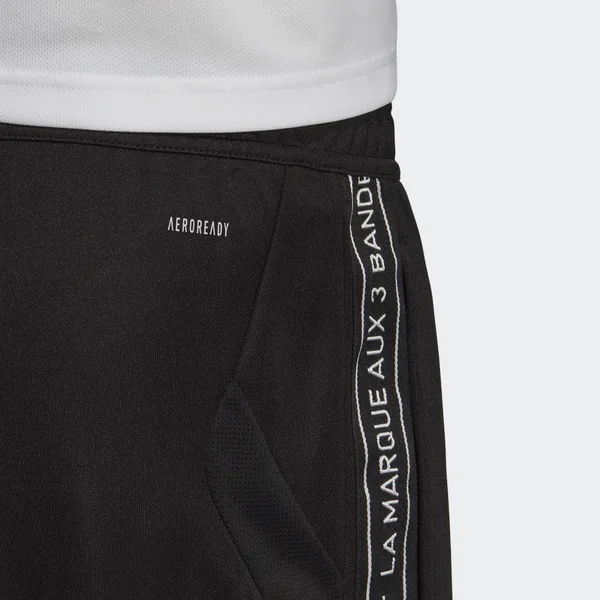 Adidas Men's Tiro 19 Taped Training Pants - Size: Medium, Black