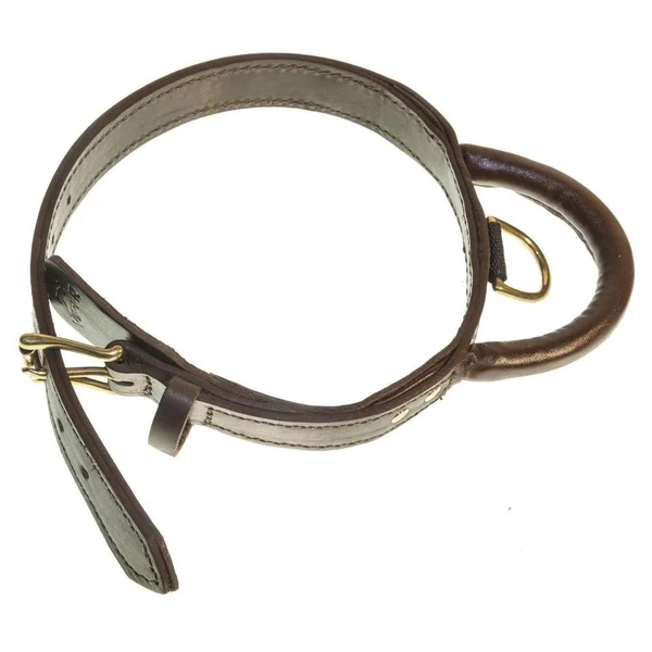 Viper Two-Ply Leather Collar with Handle