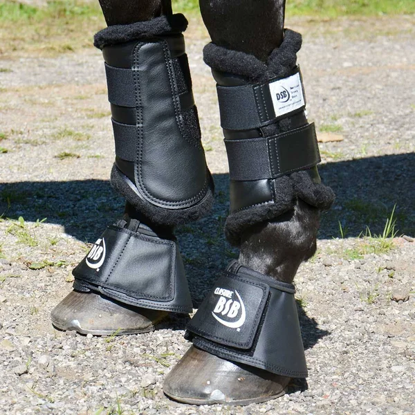Dressage Sport Boots