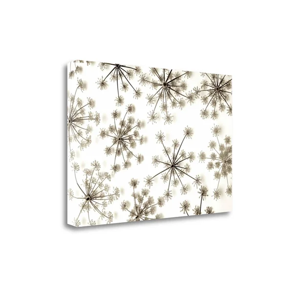 Tangletown Fine Art Garden Bloom, 20x22 by Alan Blaustein, Giclee Print on Wrap Canvas, 40x26x22