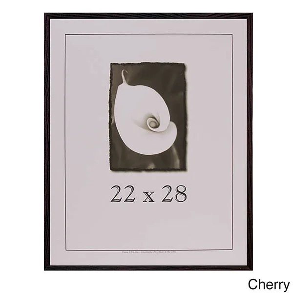 Frame USA Architect Picture Frame - Walnut 22041