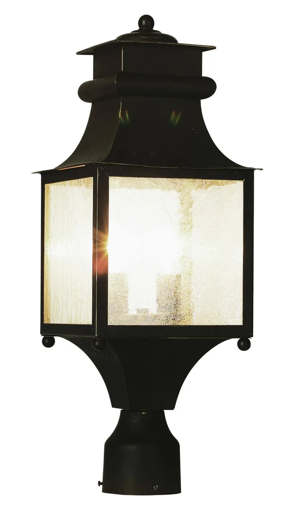 Trans Globe Lighting 45634 WB Outdoor Post Light in Weathered Bronze