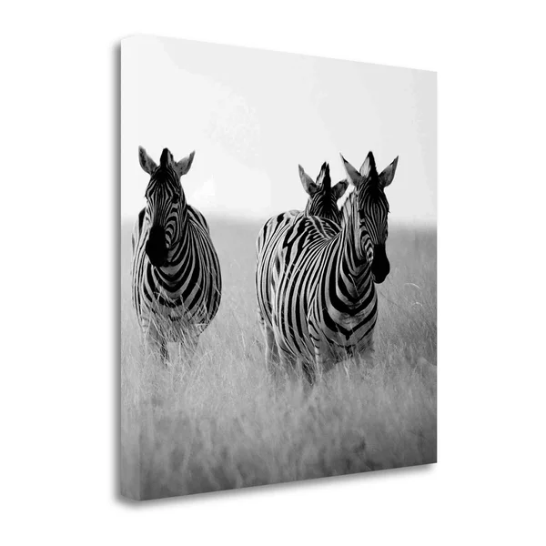 Tangletown Fine Art Rendezvous I by Nina Papiorek - Giclee Print on Gallery Wrap Canvas, 34x22x34x22