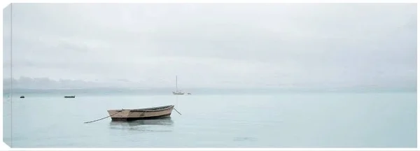 Lago Vista #26 Canvas Prints by Alan Blaustein 38x14 Fineartcanvas