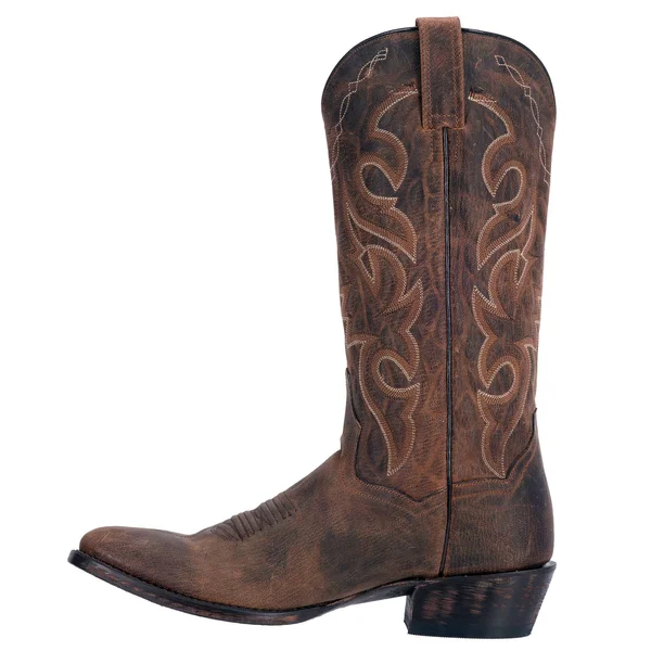 Men's Dan Post Renegade Boots