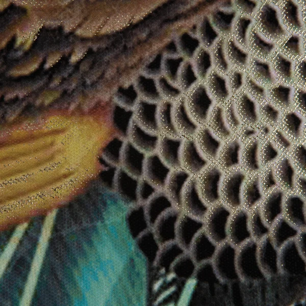 Peacock Poise I, Wall Art, Yosemite Home Decor
