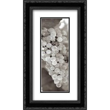 Grapes Pano - 13 2x Matted 14x24 Black Ornate Framed Art Print by Blaustein, Alan