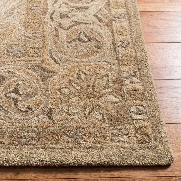 Safavieh Anatolia AN587A 3& x 5& Beige Rug