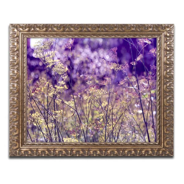 Trademark Fine Art A Morning to Remember by Beata Czyzowska Young Framed Photographic Print - Size: 11x22 H x 14x22 W x 0.5x22 D
