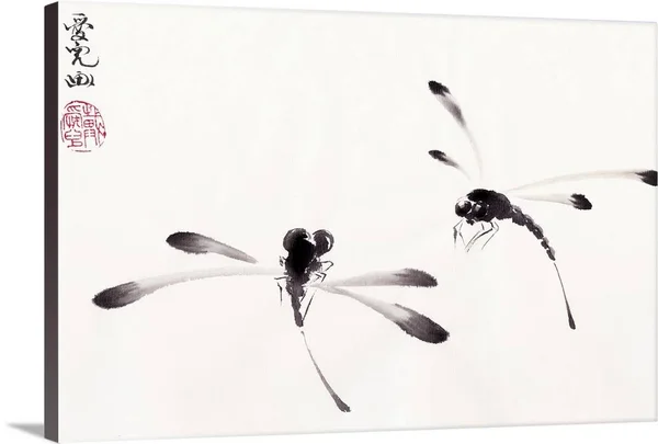 Dance of The Dragonflies - Canvas Wall Art, 60x40, Great Big Canvas