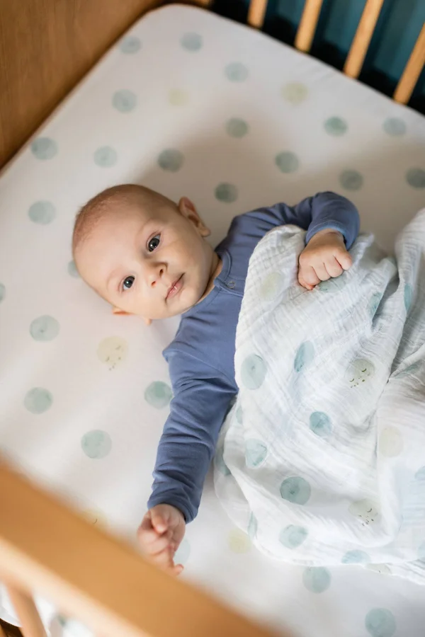 Pehr Designs Crib Sheet - Little Lamb