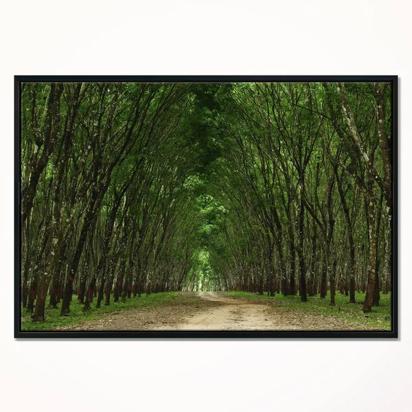 Designart 'Pathway in Thick Green Forest' Landscape Photography Framed Canvas Print 20 in. Wide x 12 in. High