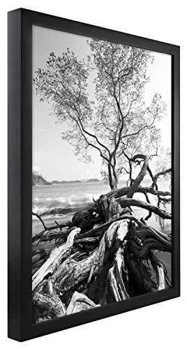 MCS 30x40 inch Art Shadow Box Frame - Black (47631)
