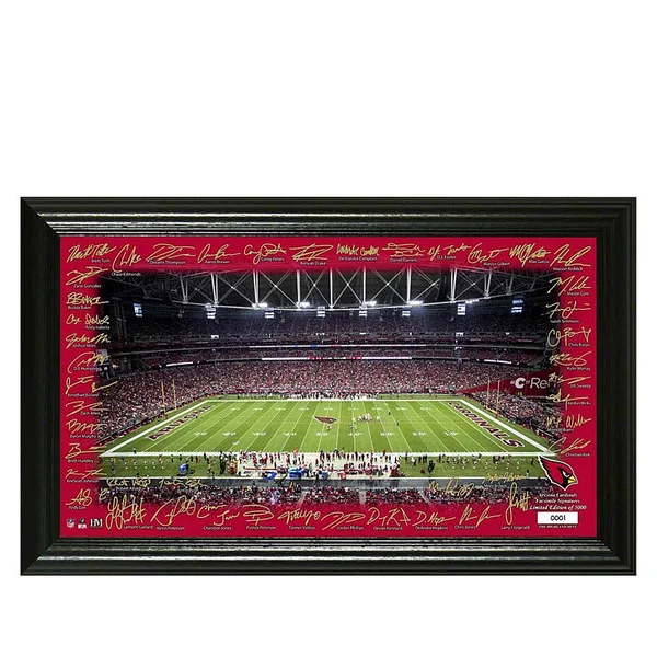 NFL Arizona Cardinals 2020 Signature Gridiron Framed Photo Multi