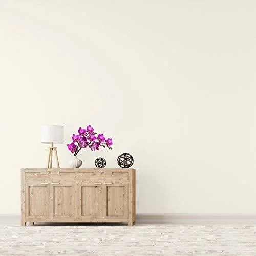 Montage Signature Interior/Exterior Eco-Friendly Paint - Snow White - Low Sheen, 5 Gallon