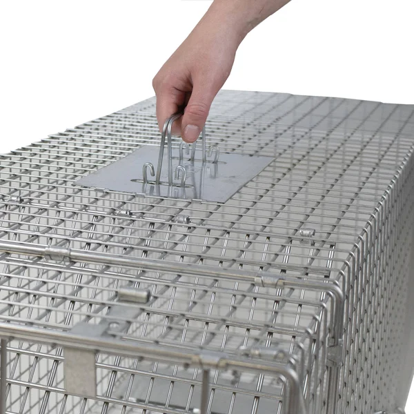 Havahart Animal Trap