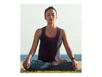 Fitbit Charge 2 - Fitness Tracker Armband - Large - Plum/Silver
