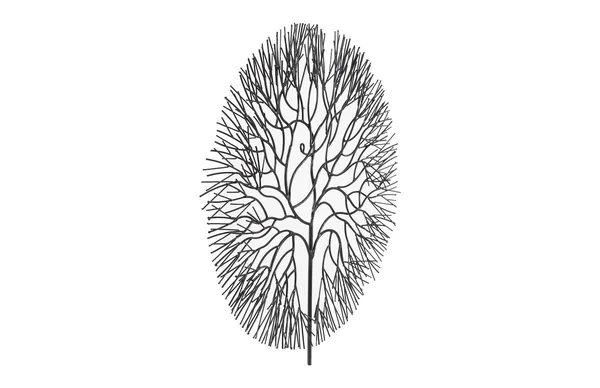 Wire Tree Wall D閏or Phillips Collection Size: 21x22 H x 20x22 W x 2x22 D