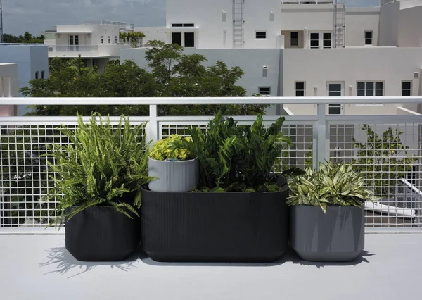 Mod Self-Watering Planter - 20x22x14x22x12x22 - Slate, Crescent Garden
