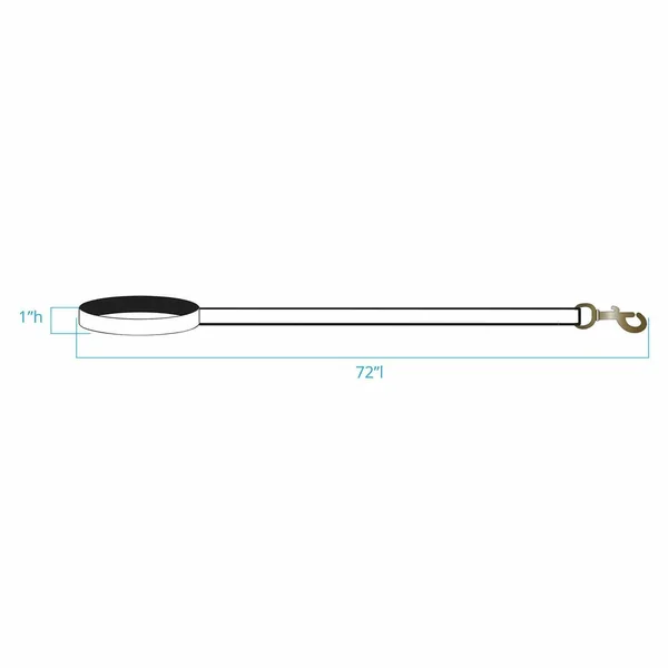 Pendleton National Park Yellowstone Hiker Dog Leash