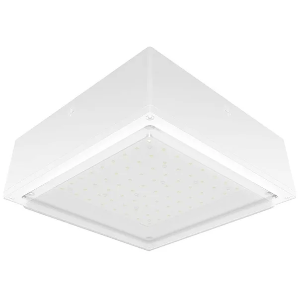RAB Vanled20Frw VANLED Frosted 20W Cool LED 120-277V W Drop Lens WH