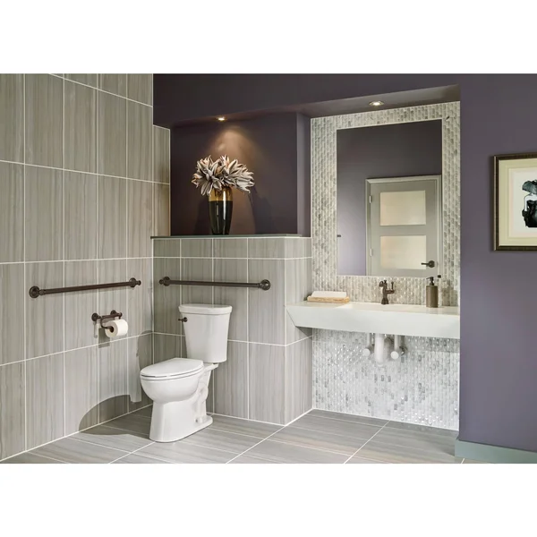Delta 41350-SS Traditional Tissue Holder-Assist Bar, Stainless